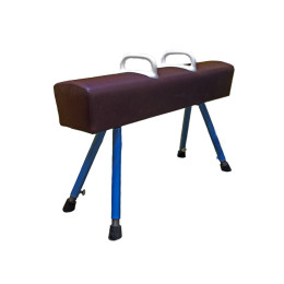 Конь гимнастический маховый