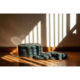 Диск для штанги РЕКОРД D51 мм 1,25.